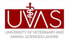 University of Veterinary and Animal Sciences, UVAS - studyup.pk